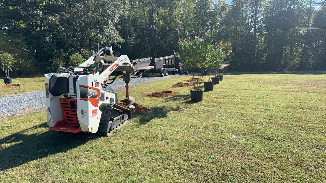 Mini skid steer digging holes for tree planting in a landscaped yard with trees in pots.