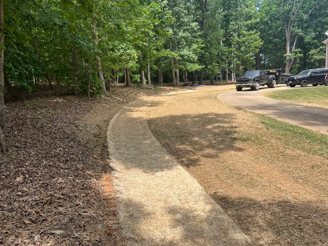 Freshly mulched walking path winding through a forested area near parked vehicles.
