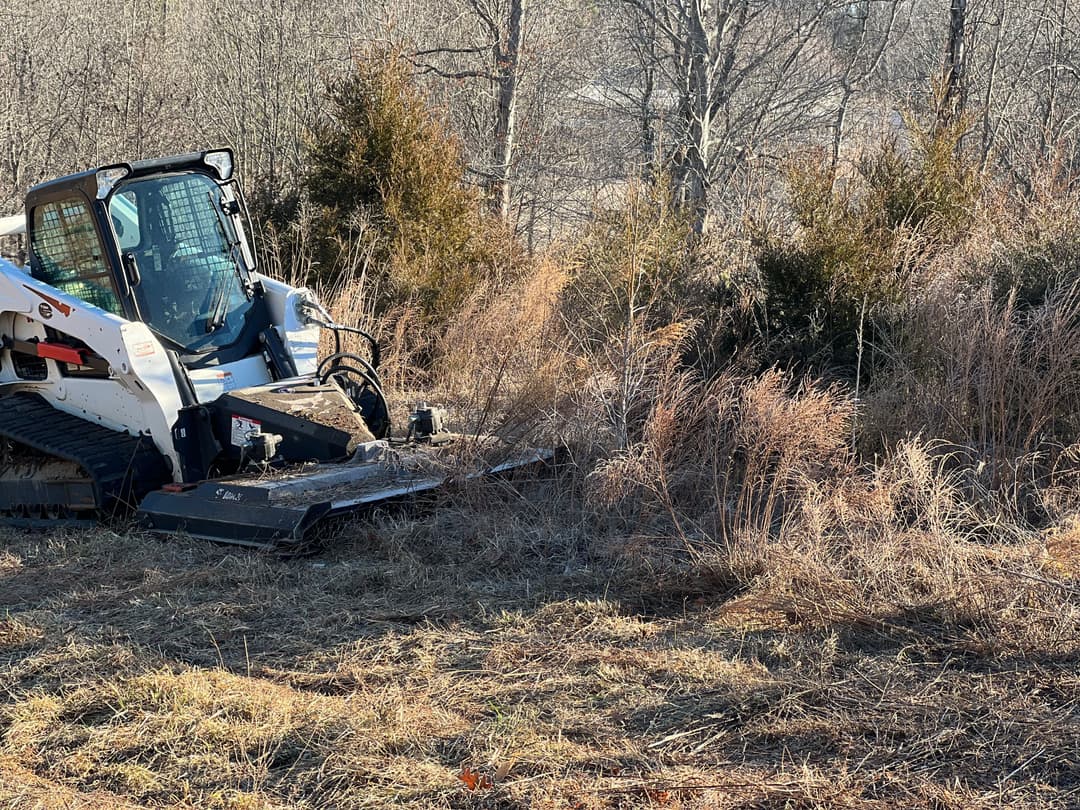 Skid steer with brush cutter clearing overgrown vegetation on a sunny day.