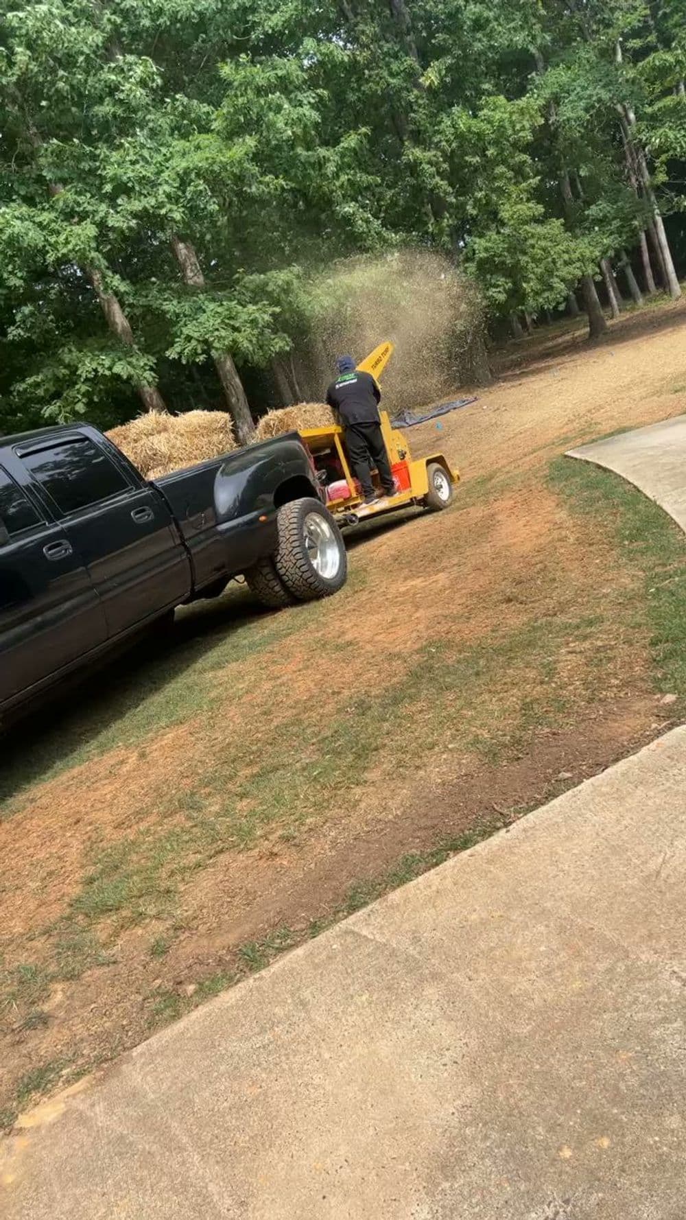 Man using a chipper near a truck in a wooded area, surrounded by greenery and hay.