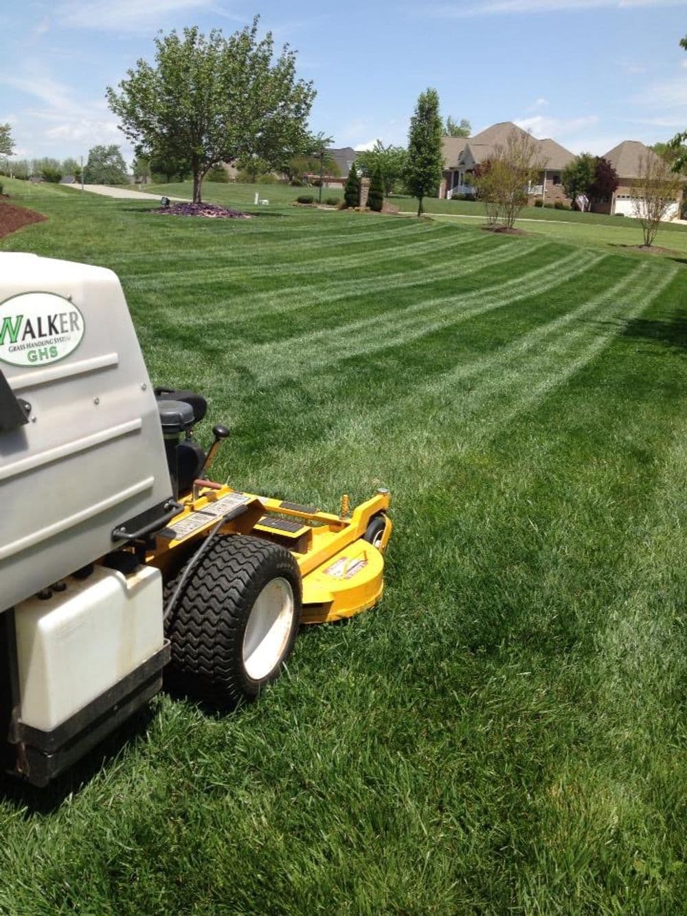 Lawn mower cutting grass in a well-maintained yard with blue sky and houses in background.