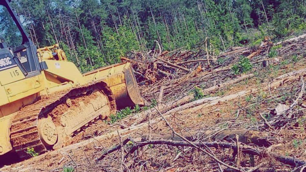 Bulldozer clearing a wooded area covered in fallen trees and debris.