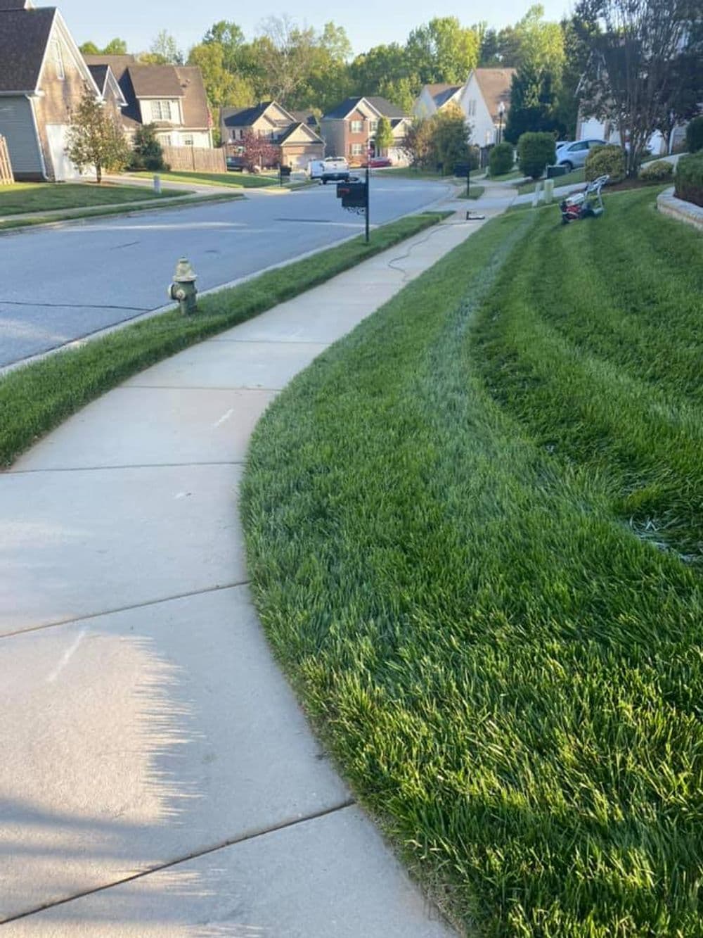 Lush green lawn with a curved sidewalk and mailbox in a suburban neighborhood.
