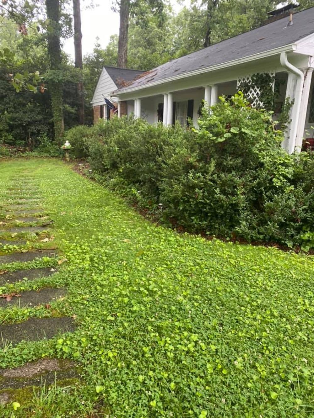 Lush green lawn and pathway leading to a charming house surrounded by dense shrubs.
