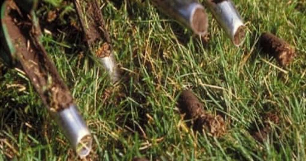 Lawn aeration tools in grass with soil cores extracted for improved drainage and growth.
