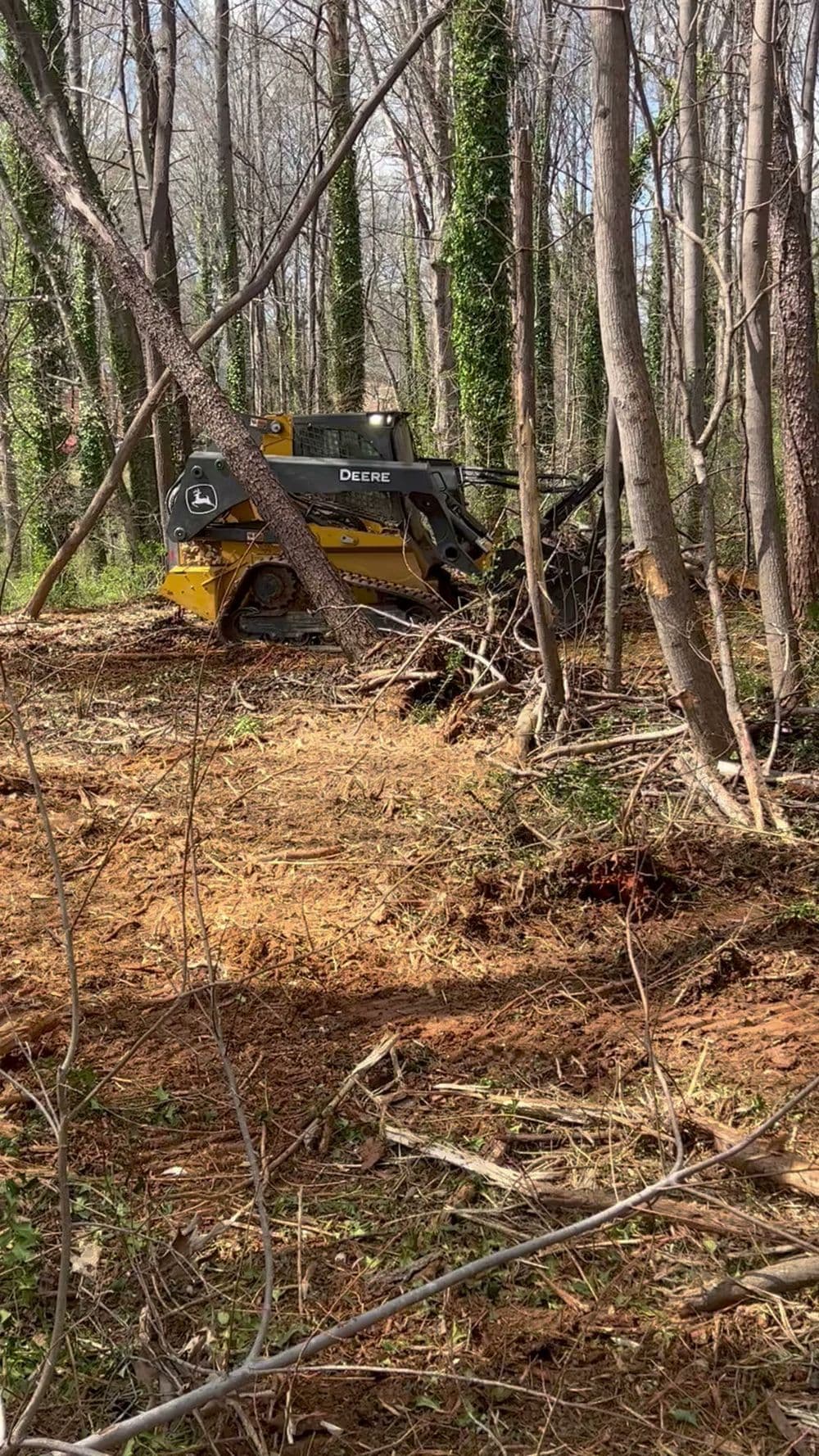 John Deere skid steer clearing wooded area with fallen trees and brush.