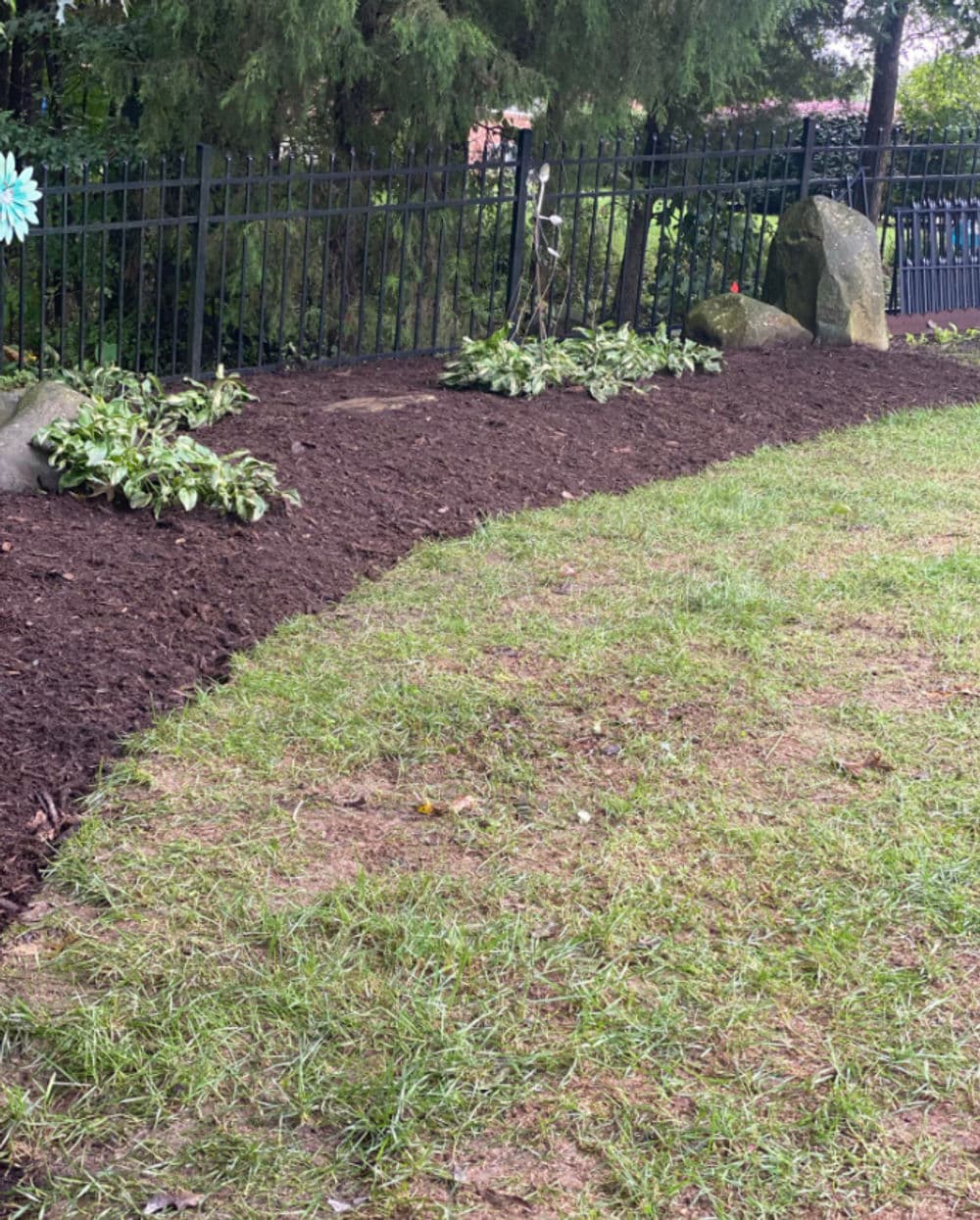Garden landscape with mulch, plants, and decorative stones beside a black fence.