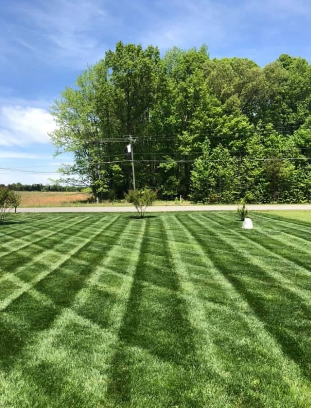 Lush green lawn with striped grass patterns and trees in the background on a sunny day.