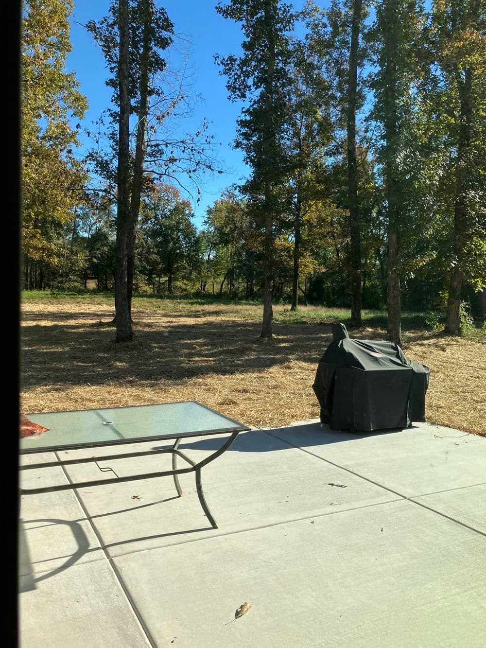 Patio area with table and grill, surrounded by trees and blue sky. Perfect for outdoor gatherings.