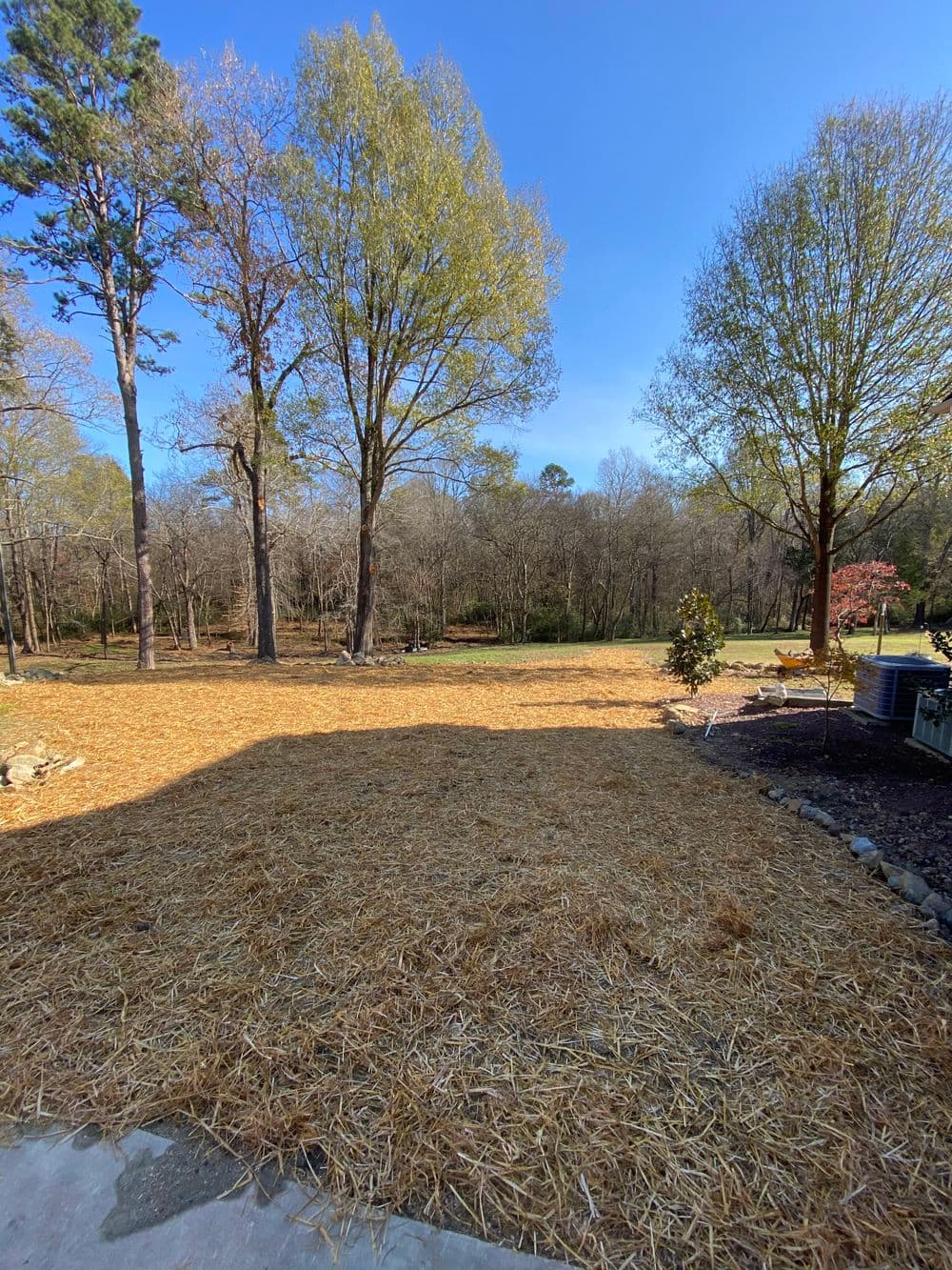 Lush landscape with fresh straw covering bare ground under clear blue sky and trees.