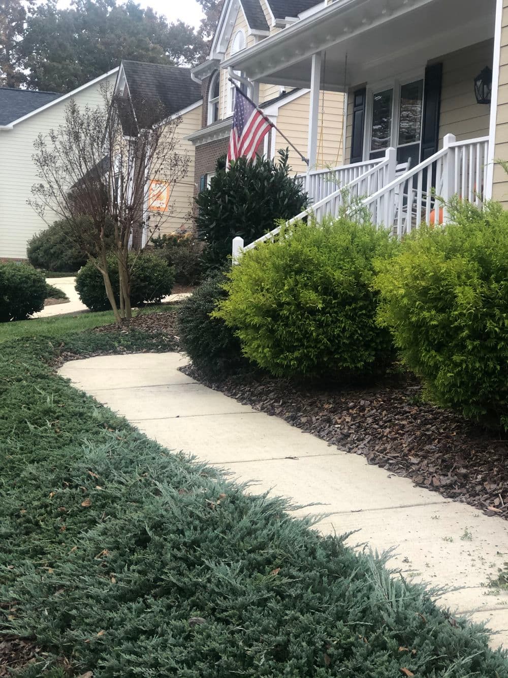 Front yard of a house with a flag, lush shrubs, and a concrete walkway.