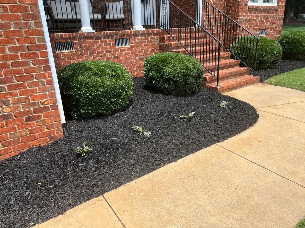 Front yard landscaping with manicured shrubs, black mulch, and brick steps leading to entrance.