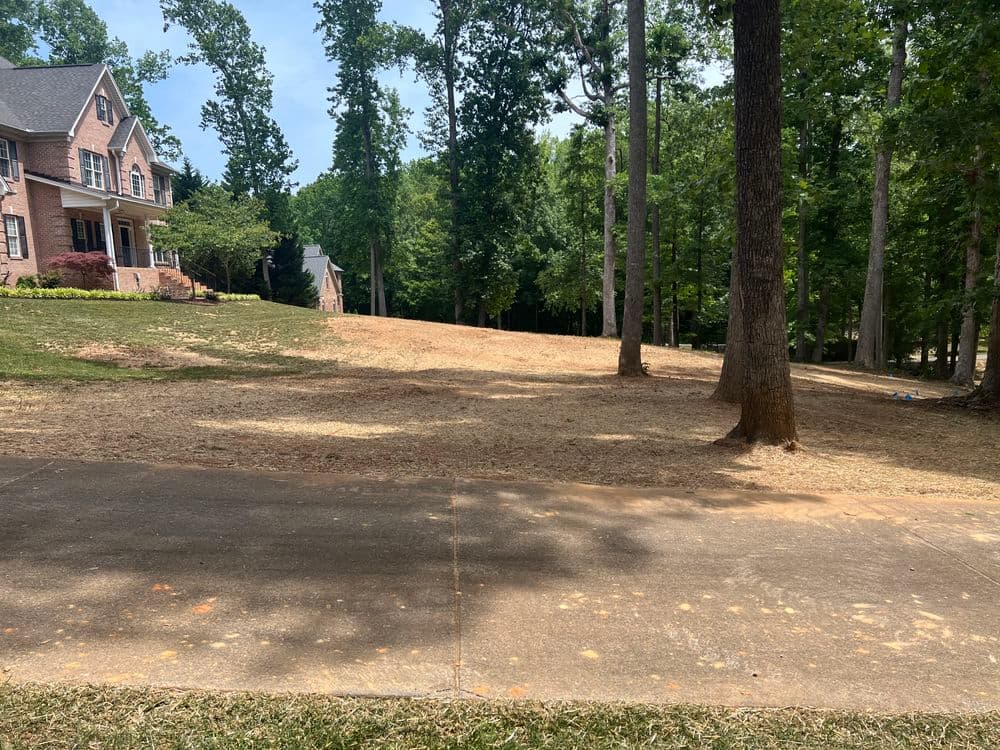 Overgrown residential lot with trees, freshly cleared ground near a brick house.