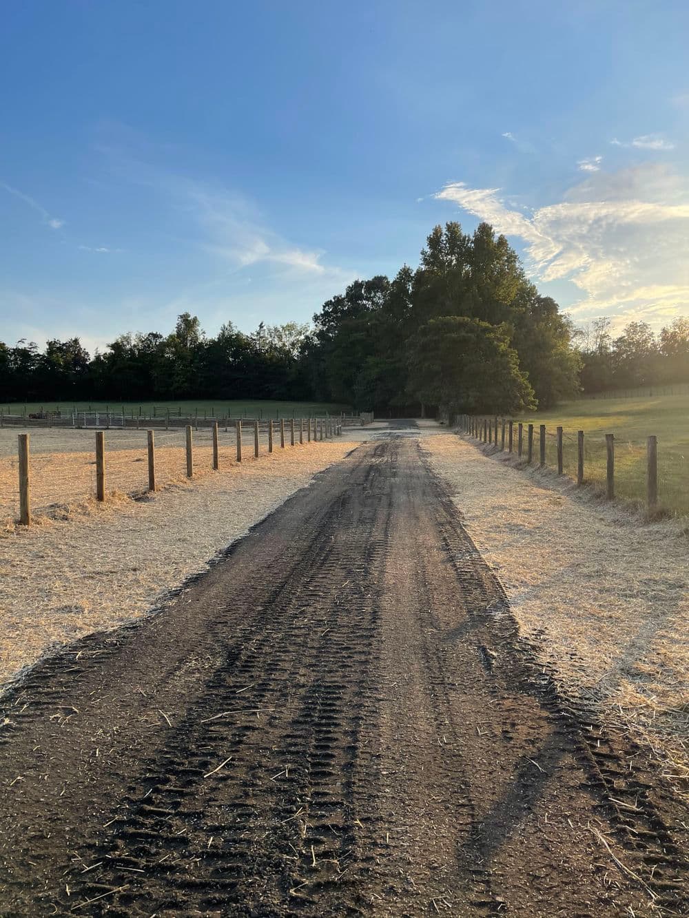 Dirt road leading through a peaceful countryside with fenced fields under a blue sky.