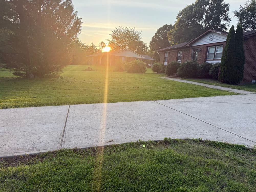Sunset illuminating houses on a suburban street with lush green lawns and trees.