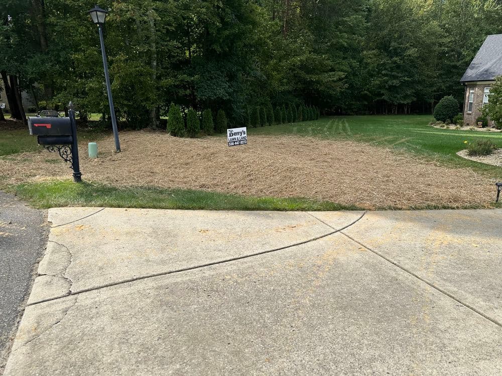 Lawn with fresh straw cover and service sign in residential area, surrounded by trees.