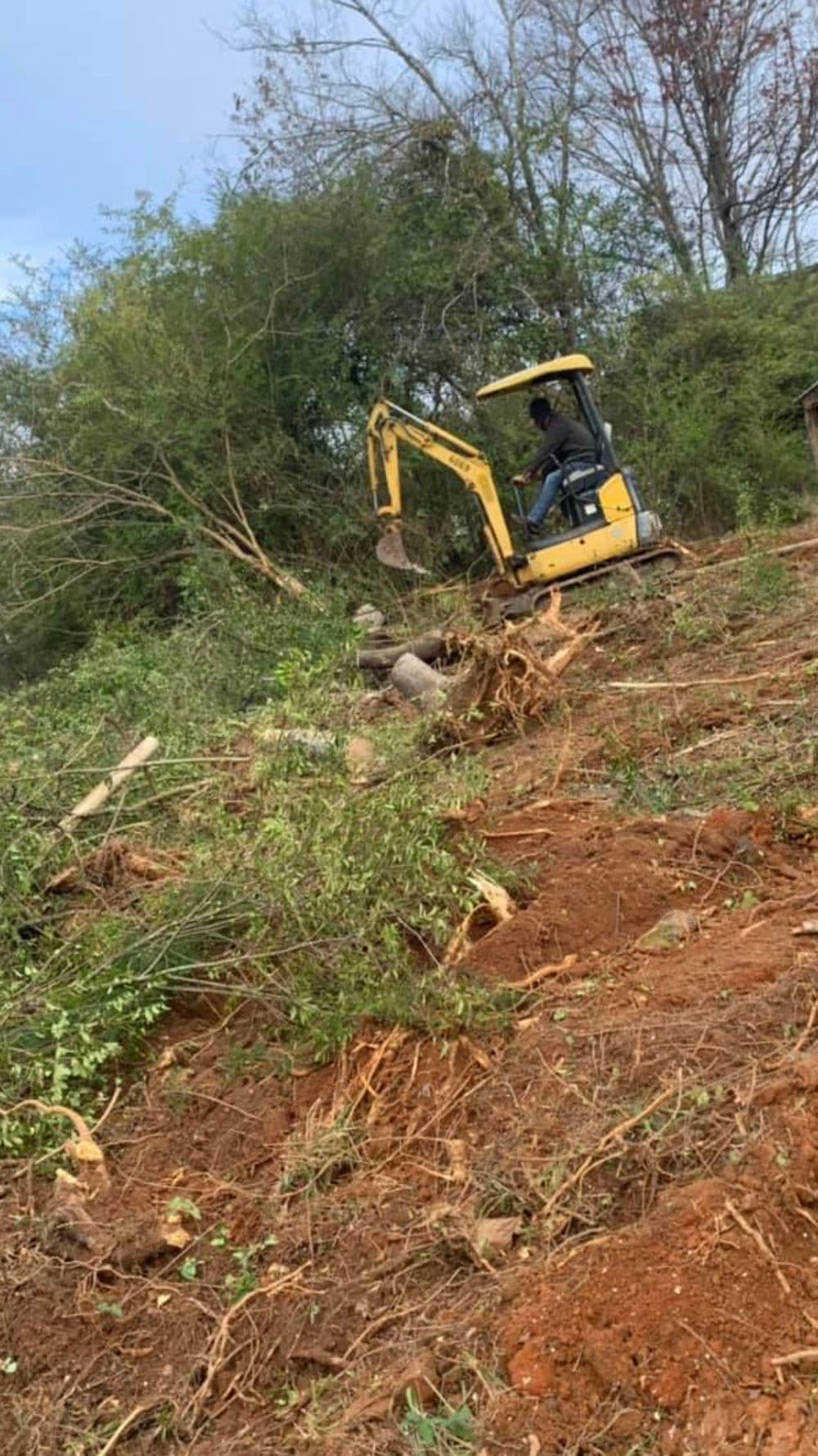 Excavator clearing land with vegetation and trees in a rural setting.